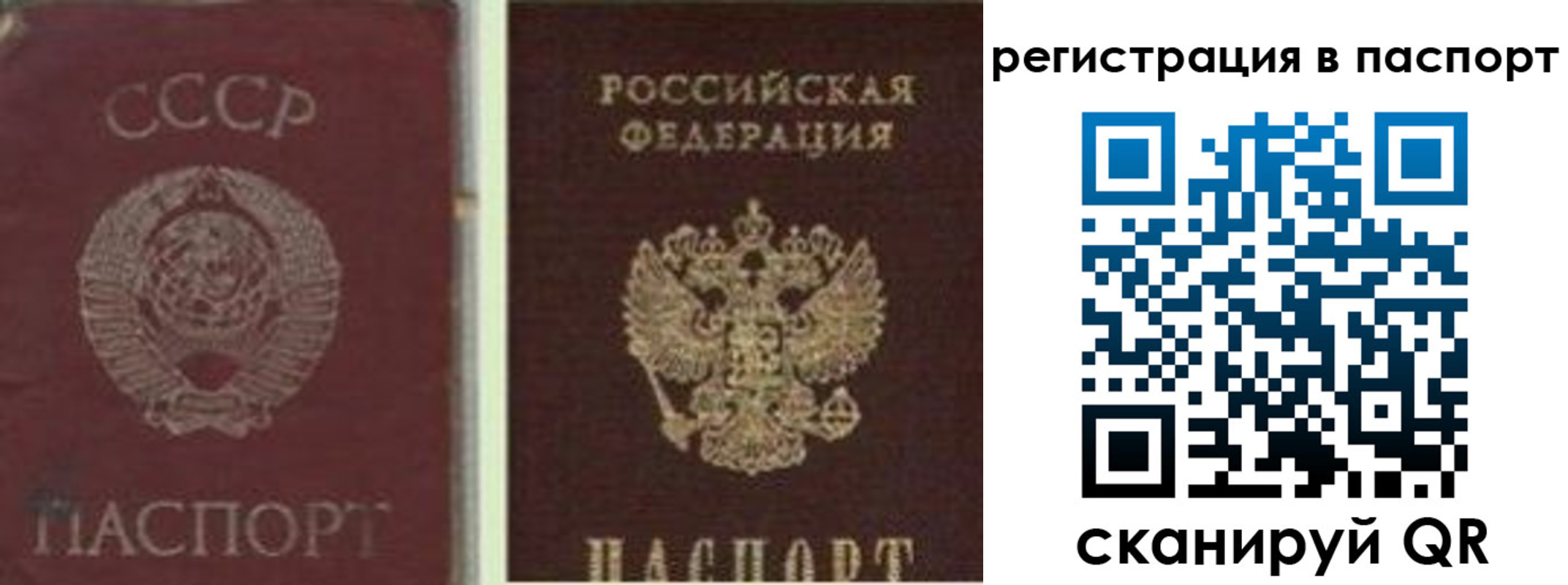 прописка для работы в Ненецком АО